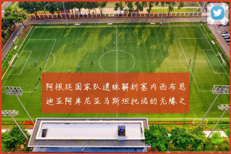 阿根廷国家队遗珠解析塞内西布恩迪亚阿库尼亚马斯坦托诺的无缘之路