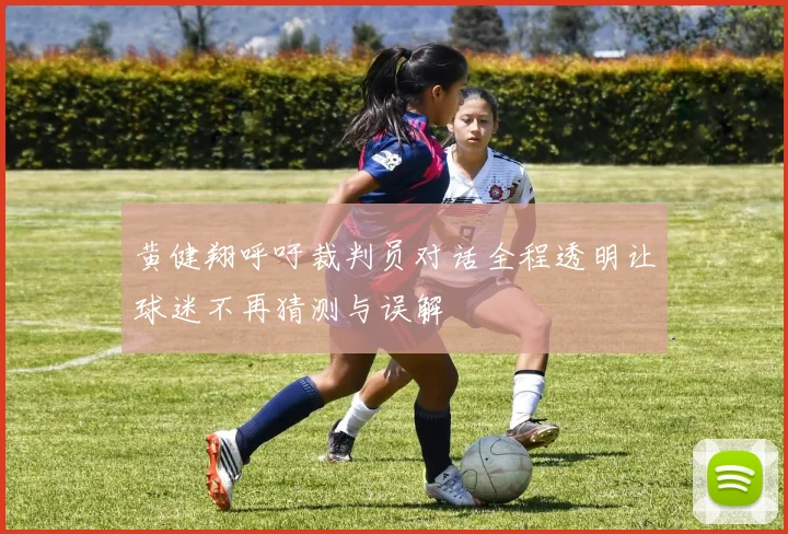 黄健翔呼吁裁判员对话全程透明让球迷不再猜测与误解
